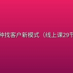 22种找客户新模式（线上课29节）