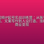28天短视频IP起号实战训练营：从账号定位、爆款选题、文案写作到人设打造、涨粉引流与商业变现