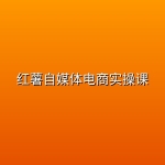 红薯自媒体电商实操课