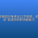 📺 【Bilibili】前麦肯锡顾问朱老丝22节视频，把“不会说话”变成你的职场超能力