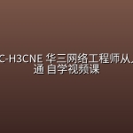 肖哥-H3C-H3CNE 华三网络工程师从入门到精通 自学视频课
