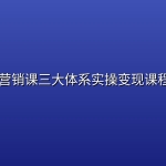 薛辉 营销课三大体系实操变现课程合集