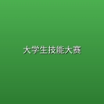 大学生技能大赛