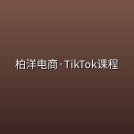 柏洋电商·TikTok课程