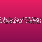 mksz456 -Spring Cloud 进阶 Alibaba 微服务体系自媒体实战（26章完整）