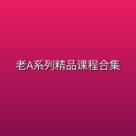 老A系列精品课程合集( 官场&职场)