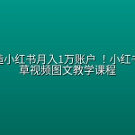 轻松打造小红书月入1万账户 ！小红书爆款种草视频图文教学课程