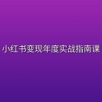 小红书变现年度实战指南课