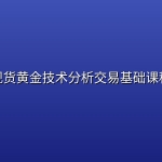 现货黄金技术分析交易基础课程