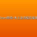 Ozon跨境+本土全流程实操课