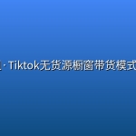 BB姐·Tiktok无货源橱窗带货模式课程
