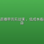 AI数字人直播带货实战课 ，低成本撬动长效收益