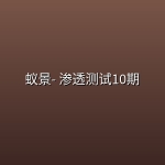 蚁景- 渗透测试10期