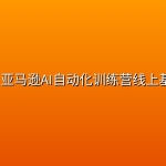 老陈·亚马逊AI自动化训练营线上基础班