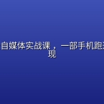 AI不露脸自媒体实战课 ，一部手机跑通涨粉变现