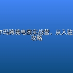 2026 沃尔玛跨境电商实战营，从入驻到爆单全攻略