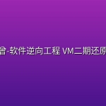 小曾-软件逆向工程 VM二期还原班
