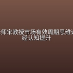 宋玉臣老师宋教授市场有效周期思维课 三天财经认知提升