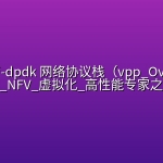零声教育-dpdk 网络协议栈（vpp_OvS_DDos SDN_NFV_虚拟化_高性能专家之路）