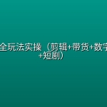 AI短视频全玩法实操（剪辑+带货+数字人+漫剧+短剧）