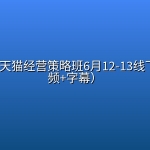 智篆·淘天猫经营策略班6月12-13线下课（音频+字幕）