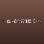 31套抖音付费课程【90G