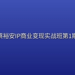 蔡裕安IP商业变现实战班第1期