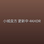 小城良方(2026) 更新中 4KHDR [倪大红 姜妍]