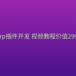 Burp插件开发 视频教程价值299元