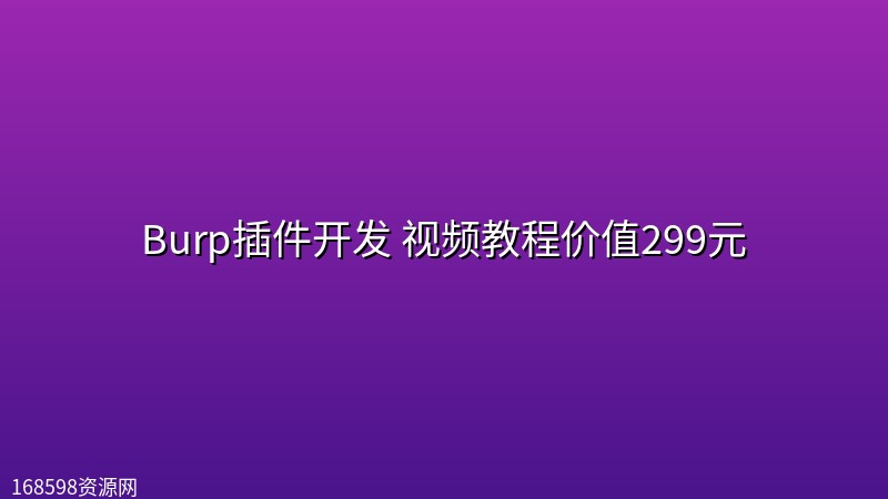 Burp插件开发 视频教程价值299元封面图