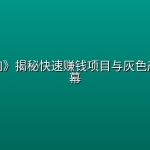 《捞偏门》揭秘快速赚钱项目与灰色产业链内幕