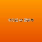 华灯起(2026) 4K 更新中